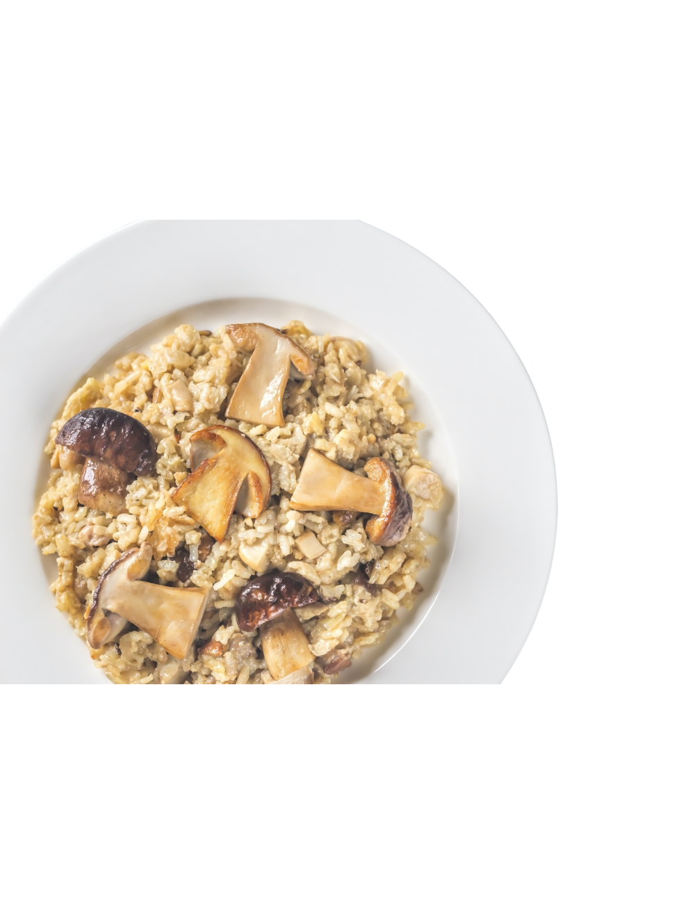 Risotto Poulet Cèpes 350 g Le Gourmet