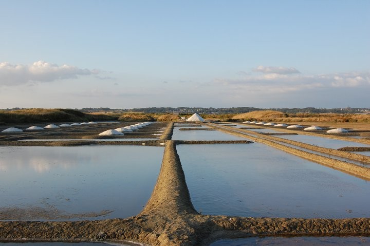 Maison Lionel Charteau