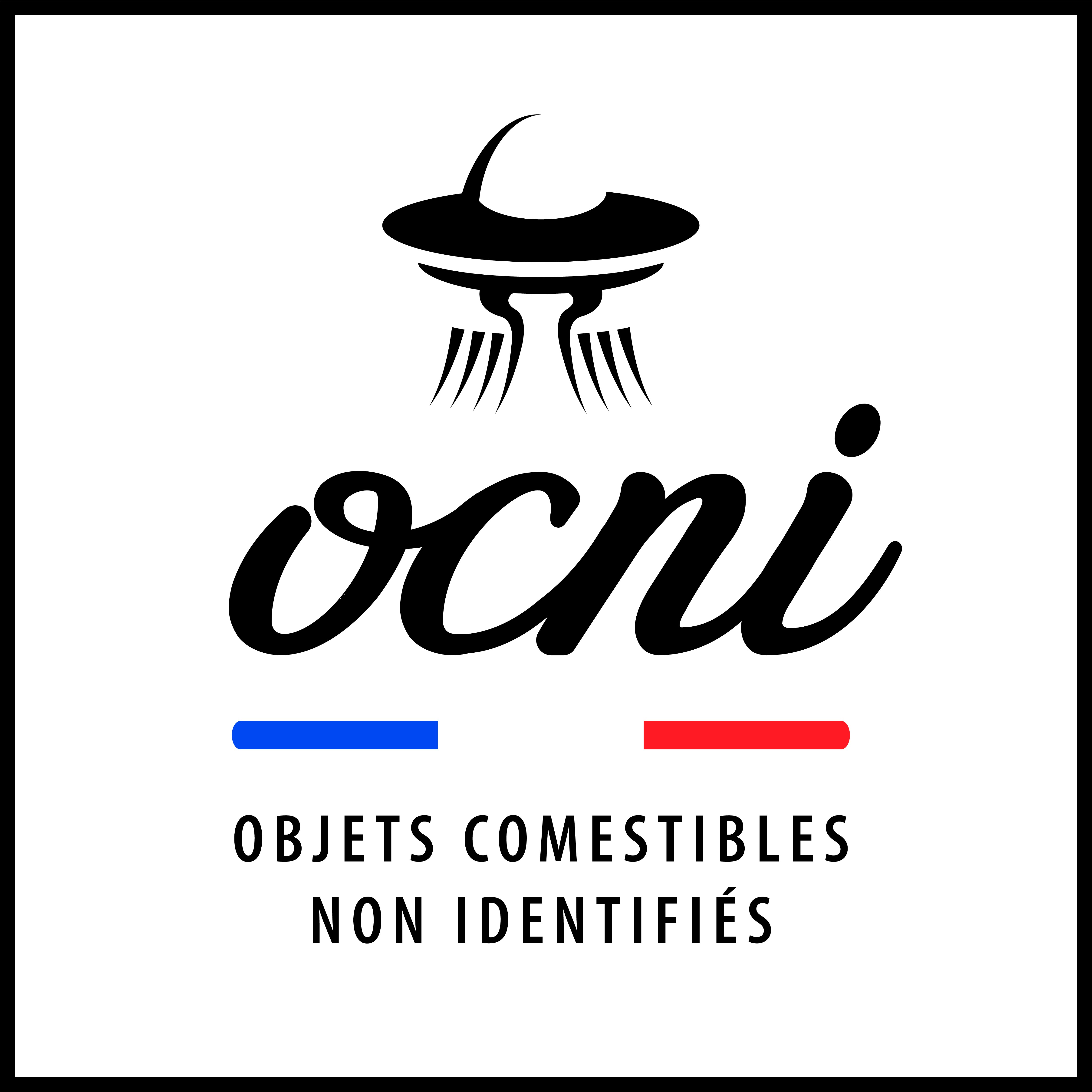 OCNI  Assaisonnements 